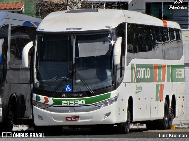 Empresa Gontijo de Transportes 21530 na cidade de Juiz de Fora, Minas Gerais, Brasil, por Luiz Krolman. ID da foto: 11385772.