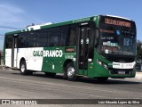Viação Galo Branco RJ 181.029 na cidade de Niterói, Rio de Janeiro, Brasil, por Luiz Eduardo Lopes da Silva. Número da foto: #11391039.