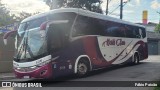 World Buss 8106 na cidade de São Paulo, São Paulo, Brasil, por Fábio Paixão. Número da foto: #11391384.
