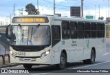 Viação Nobel 31255 na cidade de Fazenda Rio Grande, Paraná, Brasil, por Alessandro Fracaro Chibior. Número da foto: #:id.