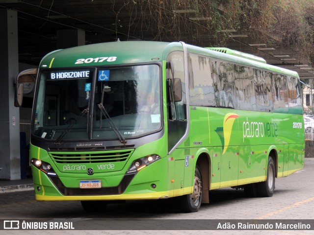 Pássaro Verde 20178 na cidade de Belo Horizonte, Minas Gerais, Brasil, por Adão Raimundo Marcelino. ID da foto: 11396279.