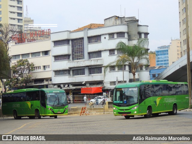 Pássaro Verde 20176 na cidade de Belo Horizonte, Minas Gerais, Brasil, por Adão Raimundo Marcelino. ID da foto: 11396212.