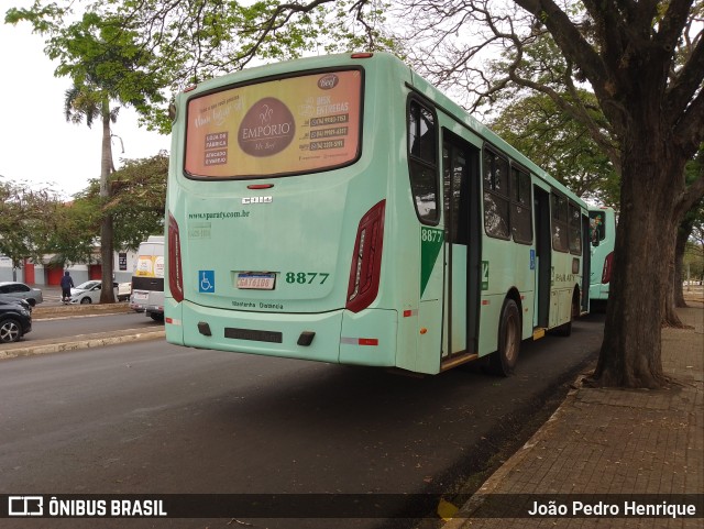 Viação Paraty 8877 na cidade de Jaú, São Paulo, Brasil, por João Pedro Henrique. ID da foto: 11395527.