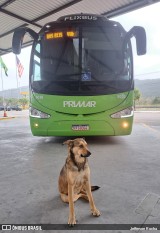 FlixBus Transporte e Tecnologia do Brasil 5030 na cidade de Guararema, São Paulo, Brasil, por Jefferson Rocha. Número da foto: #11397246.
