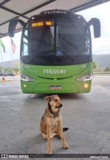 FlixBus Transporte e Tecnologia do Brasil 5030 na cidade de Guararema, São Paulo, Brasil, por Jefferson Rocha. ID da foto: :id.