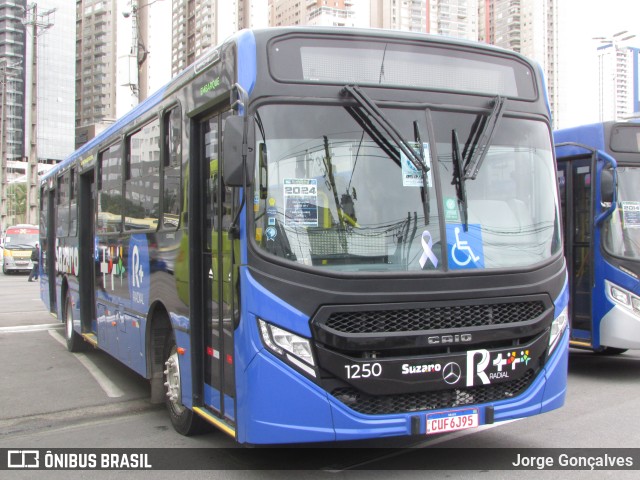 Radial Suzano 1250 na cidade de Barueri, São Paulo, Brasil, por Jorge Gonçalves. Número da foto: #11404324.