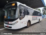 Transpen Transporte Coletivo e Encomendas 41020 na cidade de Itapetininga, São Paulo, Brasil, por Pedro Leo. Número da foto: #11403808.