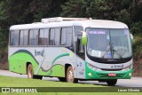 Turin Transportes 1485 na cidade de Conselheiro Lafaiete, Minas Gerais, Brasil, por Lucas Oliveira. Número da foto: #11329440.