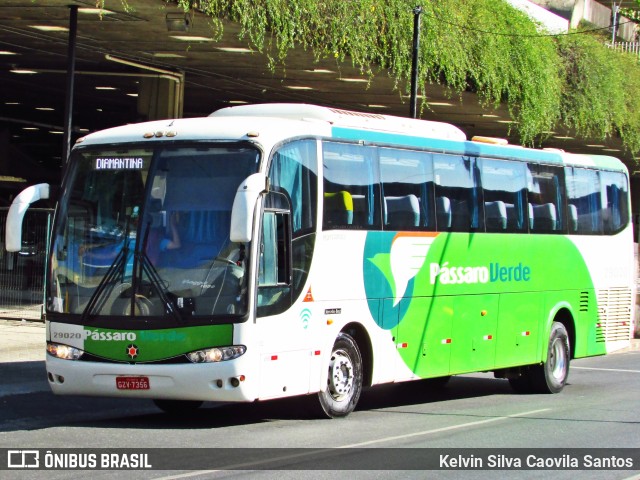 Pássaro Verde 29020 na cidade de Belo Horizonte, Minas Gerais, Brasil, por Kelvin Silva Caovila Santos. ID da foto: 11406219.