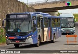 Transportes Capellini 19.085 na cidade de Campinas, São Paulo, Brasil, por Sérgio de Sousa Elias. Número da foto: #11409746.