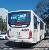 Viação Castelo Branco 25M01 na cidade de Curitiba, Paraná, Brasil, por Busologia Amauri Caetano. Número da foto: #:id.
