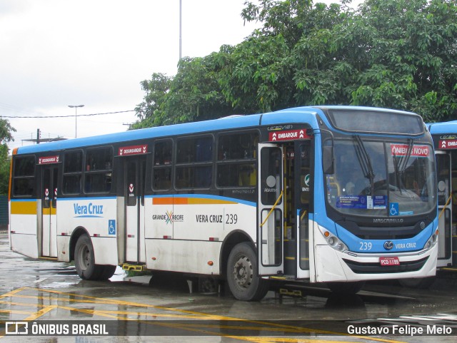 Expresso Vera Cruz 239 na cidade de Recife, Pernambuco, Brasil, por Gustavo Felipe Melo. ID da foto: 11344926.