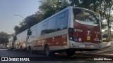 Auto Viação Transcap >> Auto Bless Transportes 8 5111 na cidade de São Paulo, São Paulo, Brasil, por Nicølas Nunes. Número da foto: #11343115.