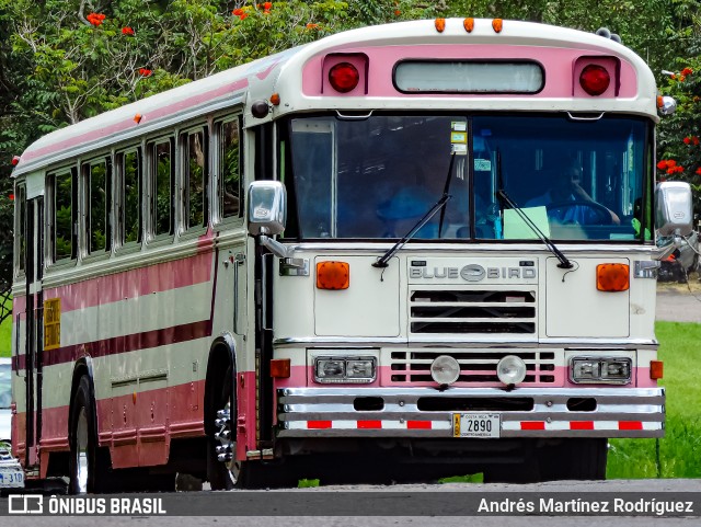 Autobuses sin identificación - Costa Rica 00 na cidade de Belén, Heredia, Costa Rica, por Andrés Martínez Rodríguez. ID da foto: 11411456.