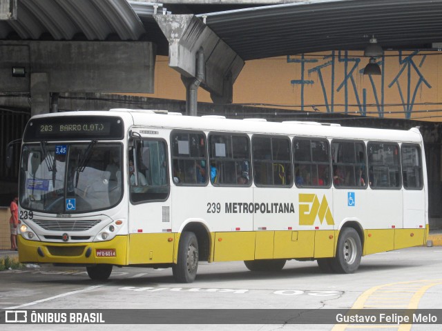 Empresa Metropolitana 239 na cidade de Recife, Pernambuco, Brasil, por Gustavo Felipe Melo. Número da foto: #11439098.
