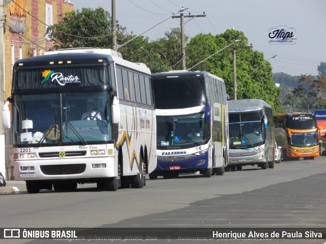 Mariani Turismo 2203 na cidade de Holambra, São Paulo, Brasil, por Henrique Alves de Paula Silva. Número da foto: #11439496.