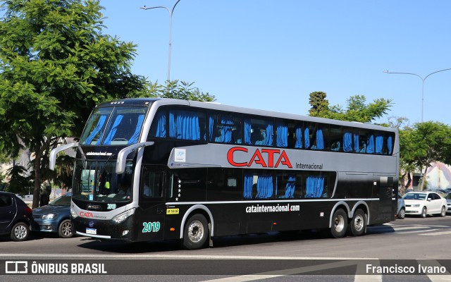 Cata Internacional 2019 na cidade de Ciudad Autónoma de Buenos Aires, Argentina, por Francisco Ivano. Número da foto: #11441720.