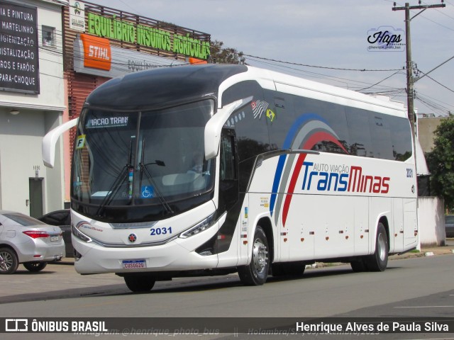 Auto Viação TransMinas 2031 na cidade de Holambra, São Paulo, Brasil, por Henrique Alves de Paula Silva. Número da foto: #11439544.