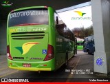 Pássaro Verde 15136 na cidade de Belo Horizonte, Minas Gerais, Brasil, por Valter Francisco. Número da foto: #:id.