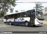 TUPi Transportes Urbanos Piracicaba 22246 na cidade de Piracicaba, São Paulo, Brasil, por Gabriel Correa. ID da foto: :id.