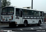 Consorcio Rosa de las Américas S.R.L. 02 na cidade de Puente Piedra, Lima, Lima Metropolitana, Peru, por Anthonel Cruzado. Número da foto: #11444493.
