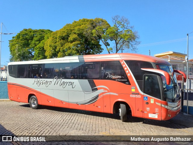 Empresa de Ônibus Pássaro Marron 5955 na cidade de Atibaia, São Paulo, Brasil, por Matheus Augusto Balthazar. Número da foto: #11444842.