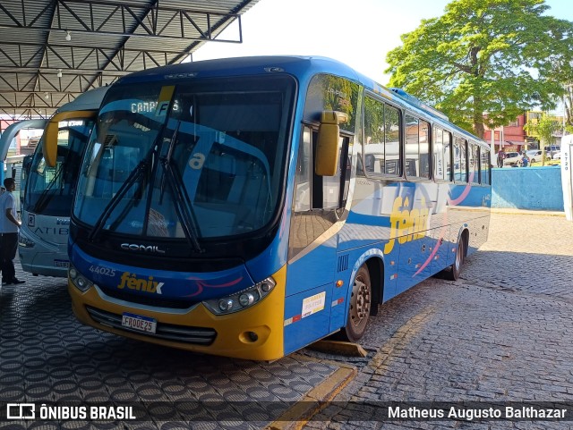 Rápido Expresso Fênix Viação 44025 na cidade de Atibaia, São Paulo, Brasil, por Matheus Augusto Balthazar. Número da foto: #11444840.