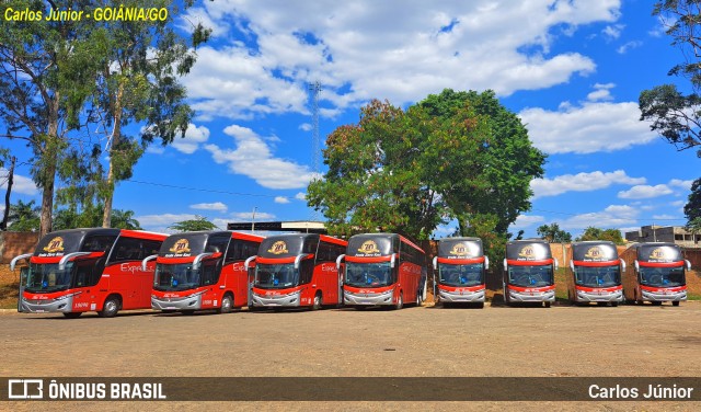 Expresso São Luiz 10060 na cidade de Goiânia, Goiás, Brasil, por Carlos Júnior. Número da foto: #11447003.