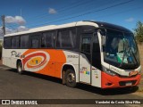 Viação Platina 2950 na cidade de Uberlândia, Minas Gerais, Brasil, por Vanderlei da Costa Silva Filho. Número da foto: #:id.