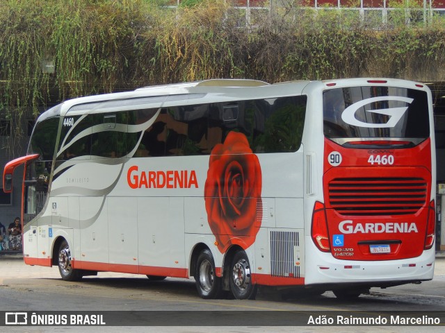 Expresso Gardenia 4460 na cidade de Belo Horizonte, Minas Gerais, Brasil, por Adão Raimundo Marcelino. ID da foto: 11459094.