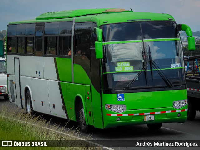 Caribeños 00 na cidade de Alajuela, Alajuela, Costa Rica, por Andrés Martínez Rodríguez. ID da foto: 11457885.