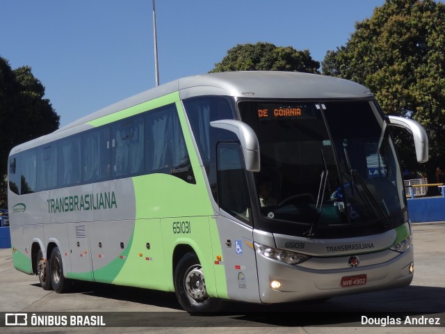 Transbrasiliana Transportes e Turismo 651031 na cidade de Goiânia, Goiás, Brasil, por Douglas Andrez. Número da foto: #11458038.