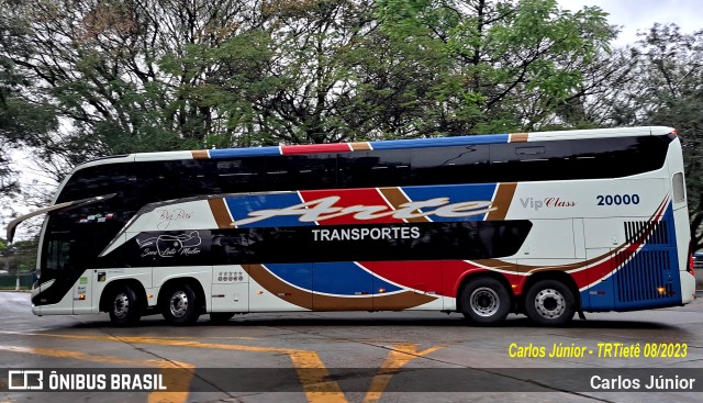 Arte Transportes e Turismo 20000 na cidade de São Paulo, São Paulo, Brasil, por Carlos Júnior. Número da foto: #11461505.