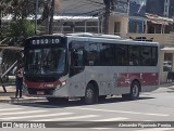 Transwolff Transportes e Turismo 7 8095 na cidade de São Paulo, São Paulo, Brasil, por Alexandre Figueiredo Pereira. Número da foto: #11463643.