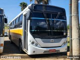 Trans Nicoli 1742 04 na cidade de Samambaia, Distrito Federal, Brasil, por Brenno Santos. Número da foto: #11463497.