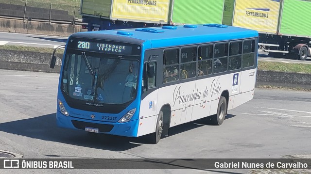 Princesinha do Vale 222317 na cidade de Resende, Rio de Janeiro, Brasil, por Gabriel Nunes de Carvalho. ID da foto: 11464686.