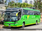 Pássaro Verde 23181 na cidade de Belo Horizonte, Minas Gerais, Brasil, por Rafael Cota. Número da foto: #11465105.