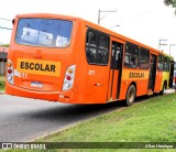 Terra Auto Viação 011 na cidade de Charqueada, São Paulo, Brasil, por Allan Henrique. Número da foto: #11465069.