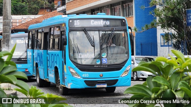 FAOL - Friburgo Auto Ônibus 493 na cidade de Nova Friburgo, Rio de Janeiro, Brasil, por Leonardo Correa Gomes Martins. ID da foto: 11414800.