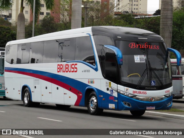 Brubuss Transportes 6000 na cidade de Barueri, São Paulo, Brasil, por Gabriel Oliveira Caldas da Nobrega. ID da foto: 11413518.