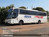 Águia 1647 na cidade de Esteio, Rio Grande do Sul, Brasil, por JULIO SILVA. Número da foto: #11415440.