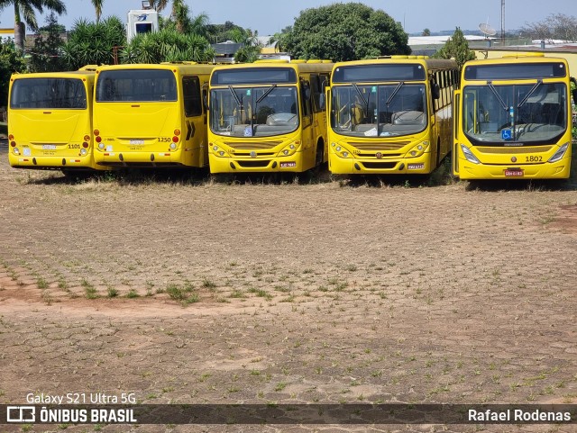 Pruden Express 1802 na cidade de Presidente Prudente, São Paulo, Brasil, por Rafael Rodenas. ID da foto: 11468880.