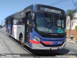 Vipol Transportes Rodoviários - TIPBUS - Transportes Intermunicipal 36.231 na cidade de Guarulhos, São Paulo, Brasil, por Rafael Lopes de Oliveira. Número da foto: #11471409.