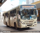 Araucária Transportes Coletivos 19028 na cidade de Curitiba, Paraná, Brasil, por Busologia Amauri Caetano. Número da foto: #:id.