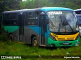 Ônibus Particulares 3I51 na cidade de Paudalho, Pernambuco, Brasil, por Edjunior Sebastião. Número da foto: #11472933.