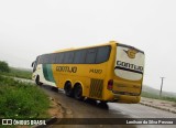 Empresa Gontijo de Transportes 14120 na cidade de Caruaru, Pernambuco, Brasil, por Lenilson da Silva Pessoa. Número da foto: #11474693.