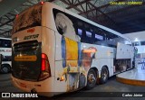 Eucatur - Empresa União Cascavel de Transportes e Turismo 4735 na cidade de Goiânia, Goiás, Brasil, por Carlos Júnior. Número da foto: #11478347.