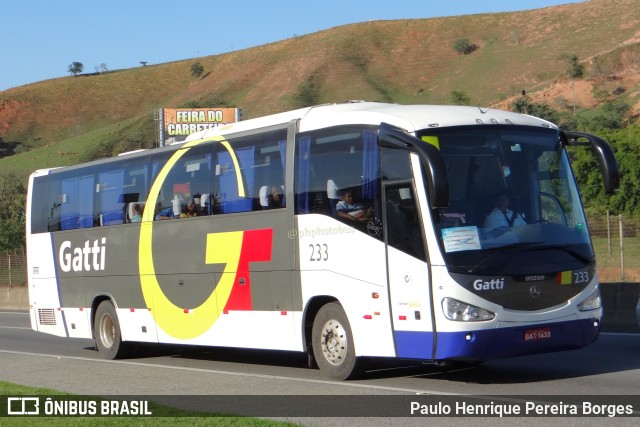 Gatti 233 na cidade de Aparecida, São Paulo, Brasil, por Paulo Henrique Pereira Borges. Número da foto: #11482301.