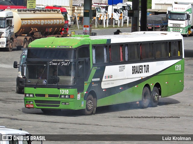 Brauer Tur 1310 na cidade de Juiz de Fora, Minas Gerais, Brasil, por Luiz Krolman. Número da foto: #11481565.