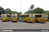Empresa Gontijo de Transportes 19320 na cidade de São Paulo, São Paulo, Brasil, por Gabriel Bispo. Número da foto: #11482465.